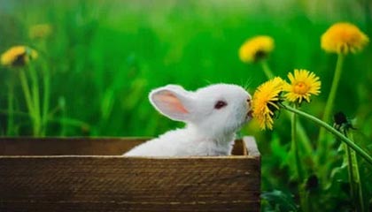 JiuyouAPP下载-明星运动员线上见面会粉丝热情高涨，运动员找明星