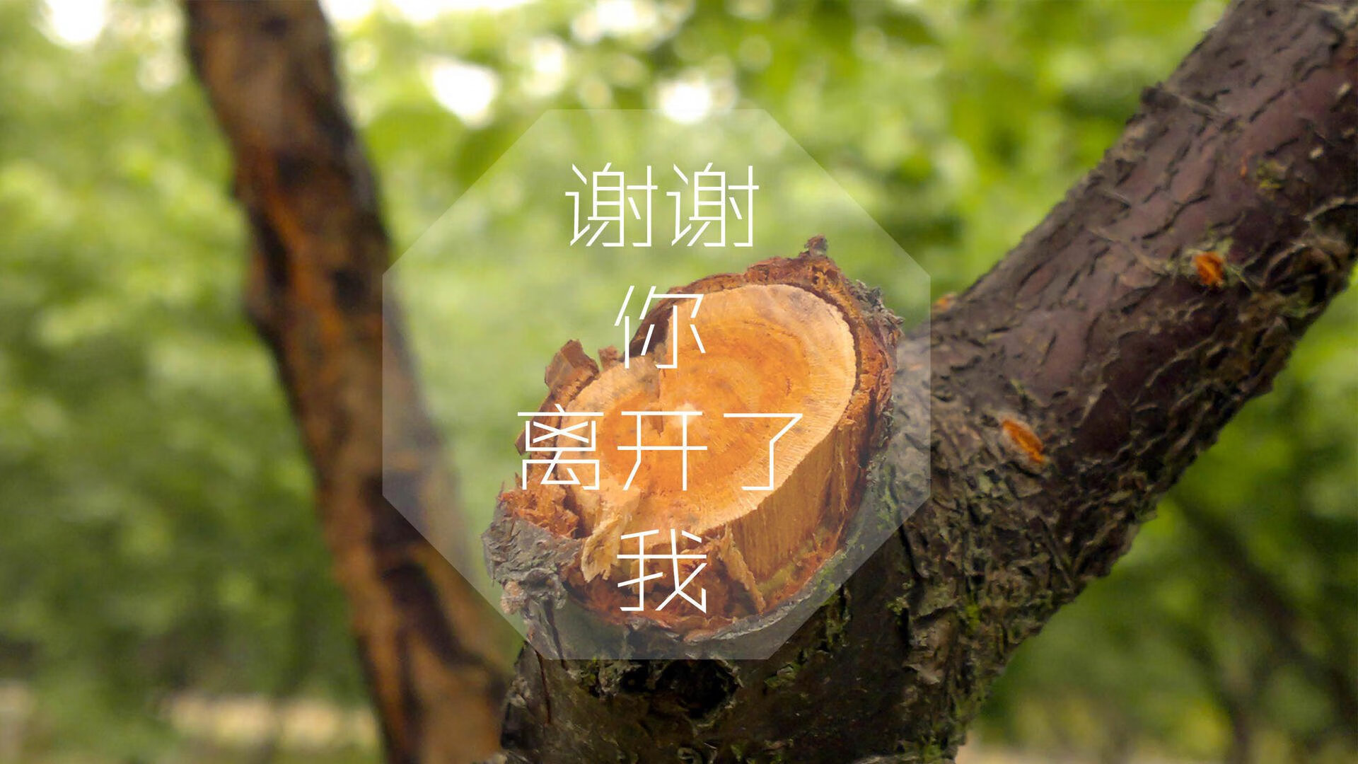 未来联盟：虚拟现实+增强互动技术让观赛变“沉浸”！，联盟_未来之战