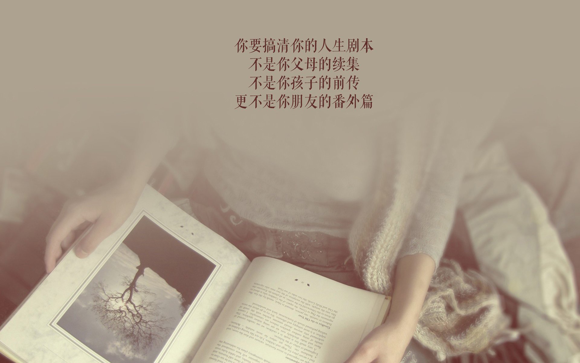 橄榄球赛：体能与智慧的比拼，橄榄球比赛规则简介视频