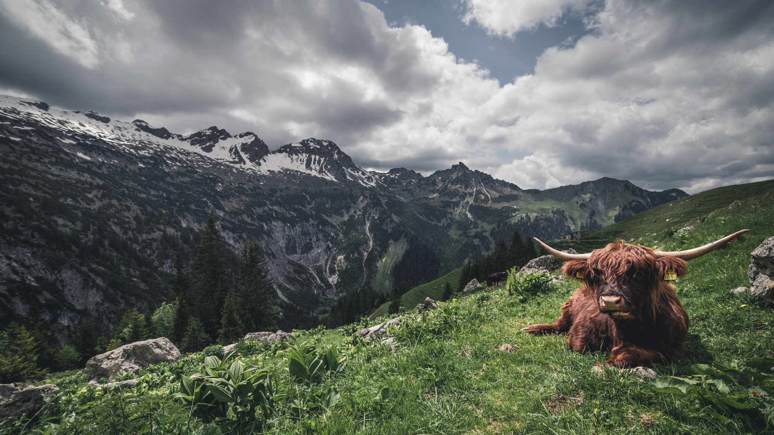 快攻中最常见的节奏错误有哪些，快攻的形式包括