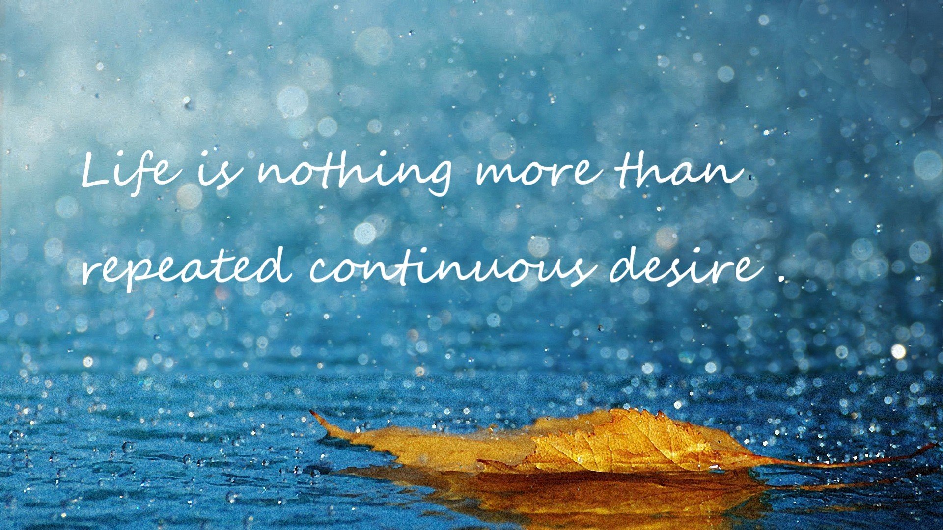 纽卡斯尔展现强硬防守拼下关键胜利，纽卡斯尔联队简介