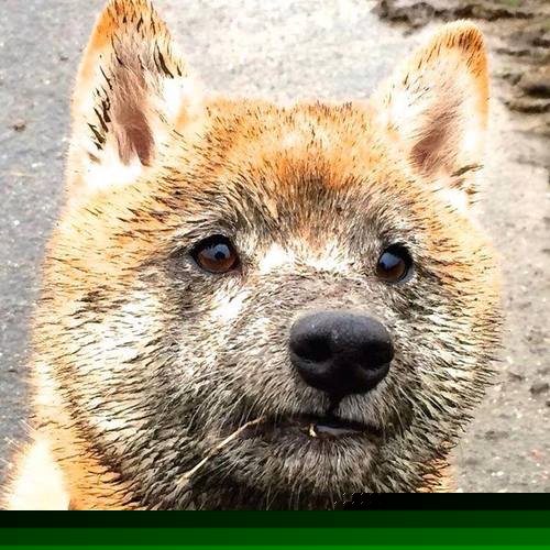 九游娱乐(jiuyou)官方网站-冬季运动入门课程在中小学全面推广，冬季运动知识科普